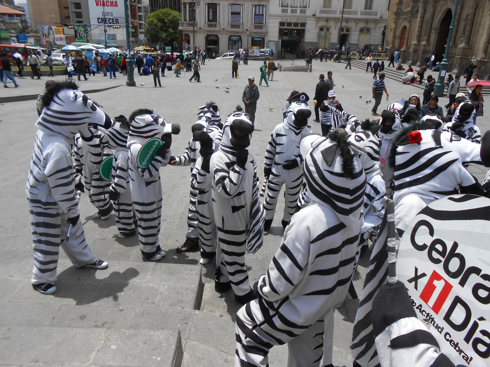 Twelve weeks in La Paz Bringing a new meaning to the concept of a