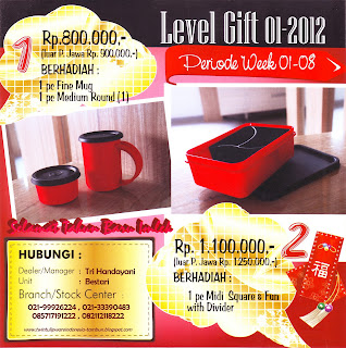 Level Gift Tulipware | Januari - Februari 2012