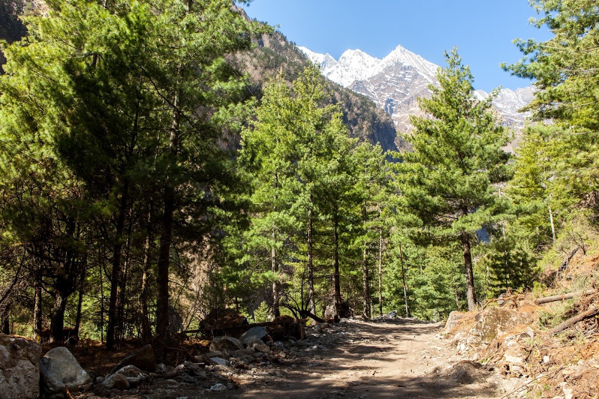 200км по красно-белым черточкам.. Around Annapurna. март-апрель 2017