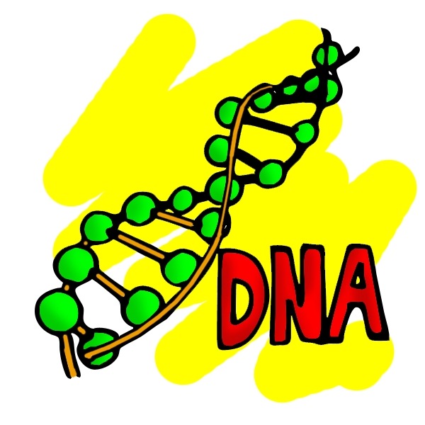 dna clipart animations