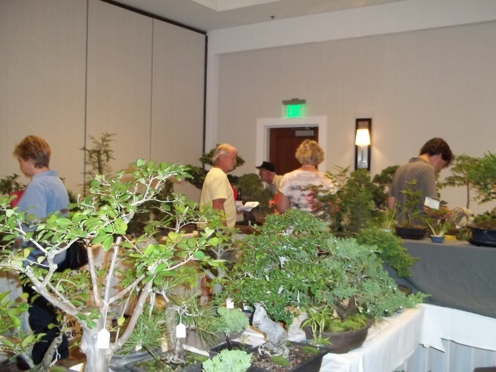 Bent Tree Bonsai Dallas State Bonsai Convention 2012