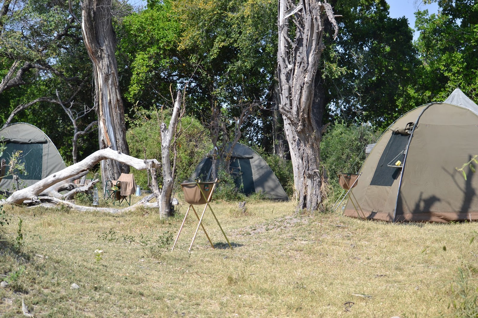 Día 5: Delta del Okavango - Botswana y Cataratas Victoria. Viaje por libre de 19 dias (4)