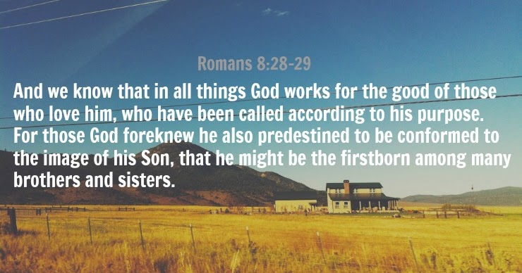 Julianna Morlet: Romans 8:28-29 - (Day Seven)