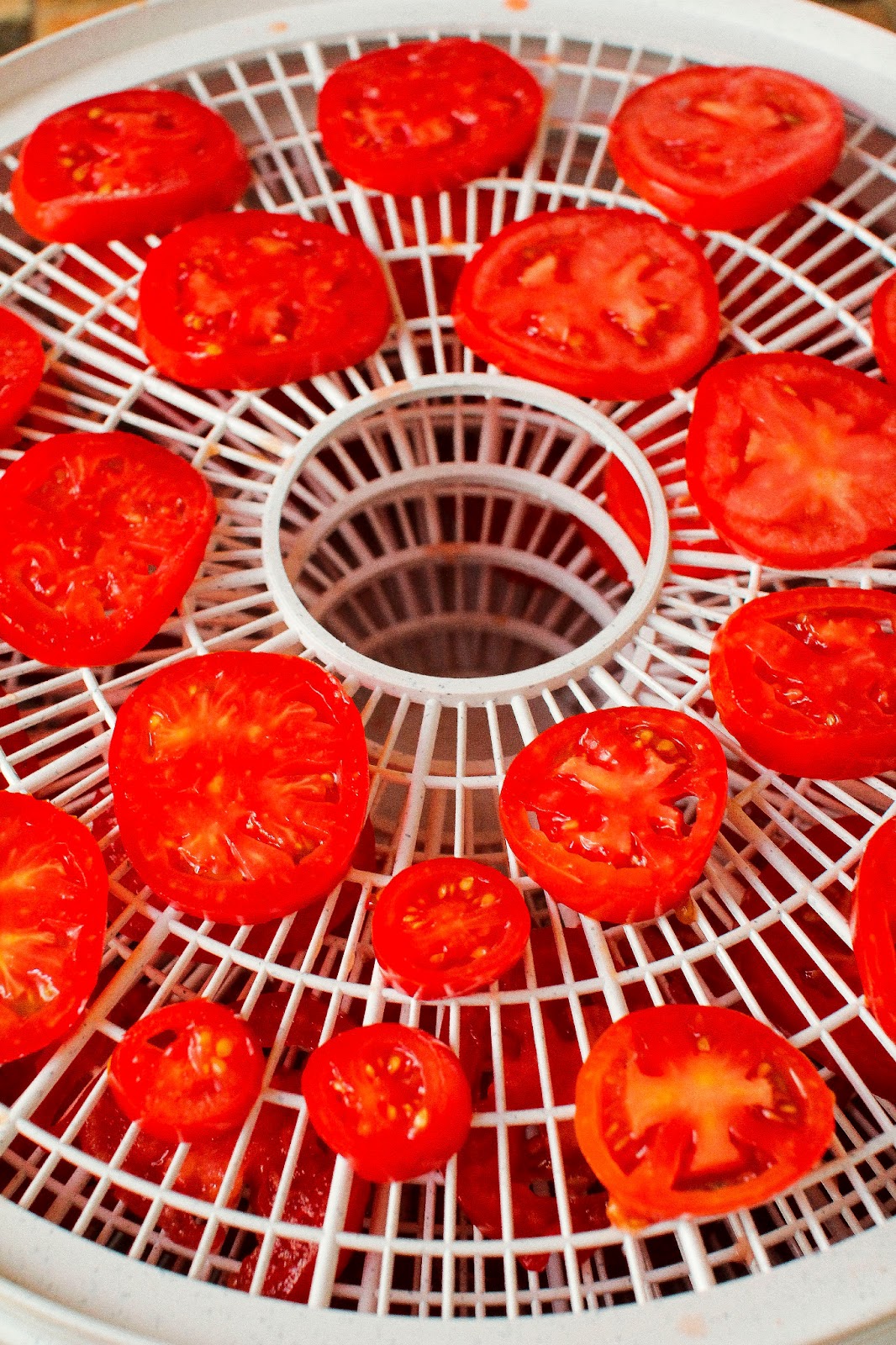 The Colors Of Indian Cooking "Sun Dried" Tomatoes. Fun With The Dehydrator