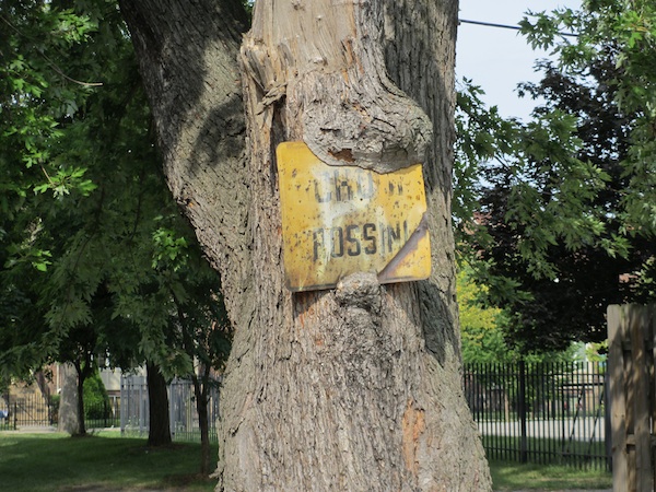 Tree eating sign Detroit 1