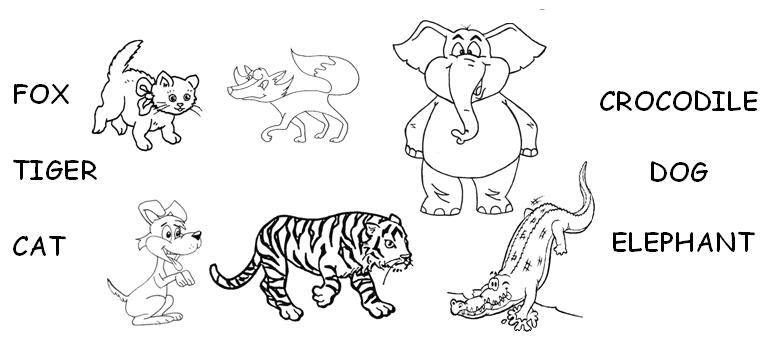 Переведи cat dog. Слон и тигр раскраска. Раскраски животных на английском языке. Тигр и лисица раскраска. Тигр Жираф Лев раскраска.