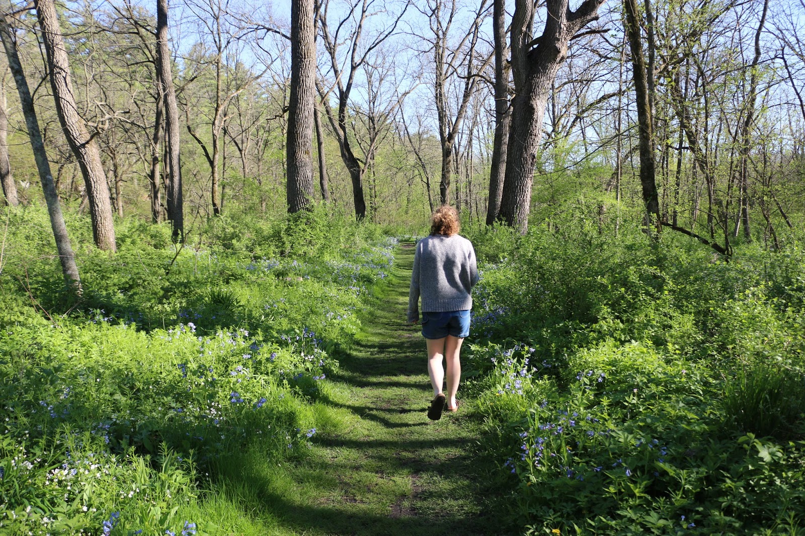 Russman's spot: Whitewater State Park, Carley State Park, St Charles