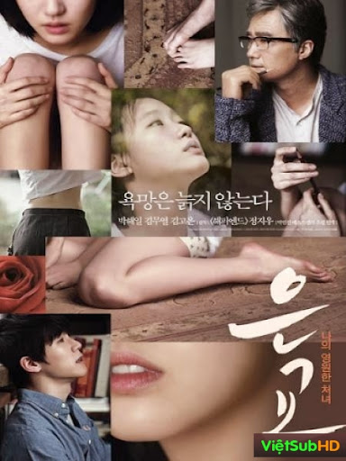 Tình Địch 18+