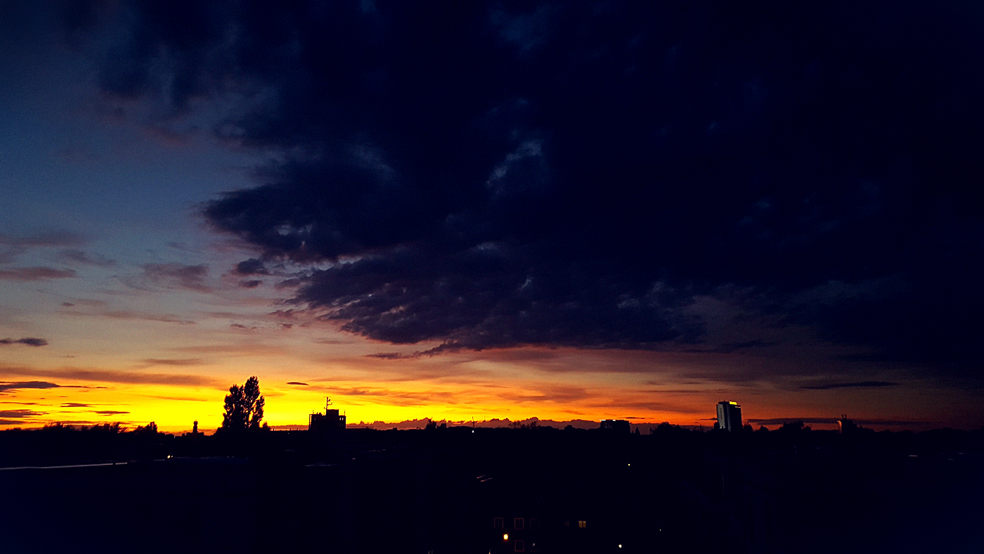 Kunstkooperative 09 05 10 16 05 10