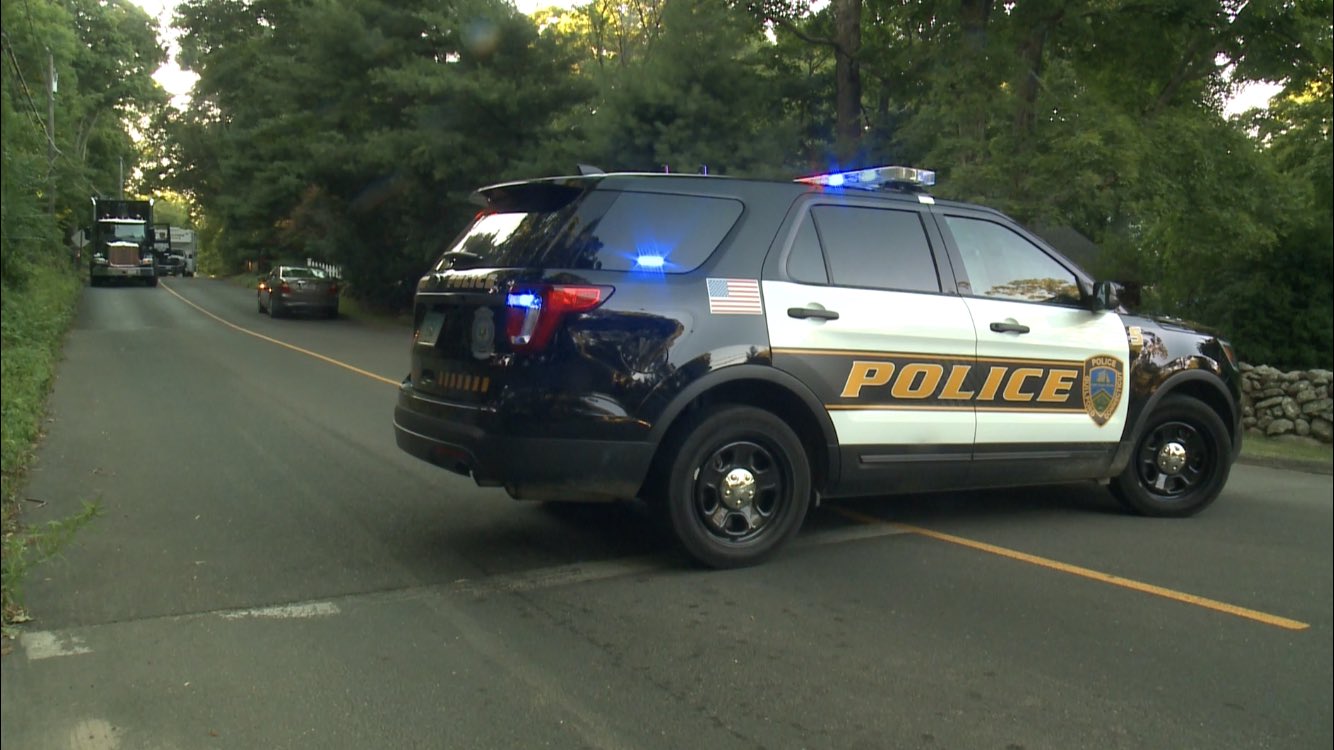 MEC&F Expert Engineers A tree service worker with MEC&F Expert Engineers A tree service worker with