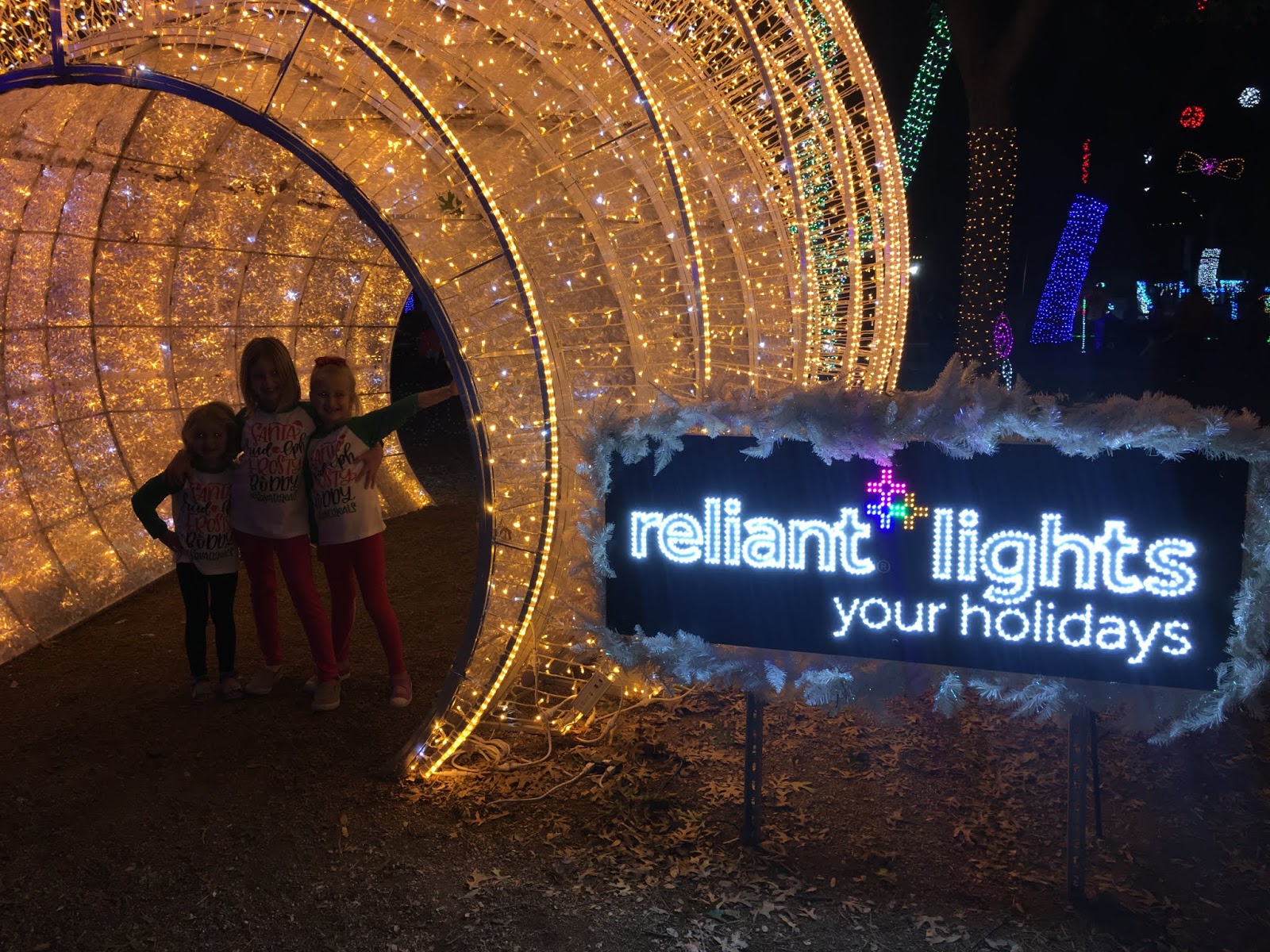 Everything Arlington, TX! DFW Holiday Fun 2018 Dallas Zoo Lights