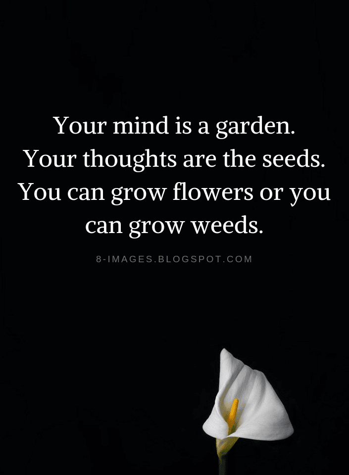 Your mind is a garden. Your thoughts are the seeds. You can grow