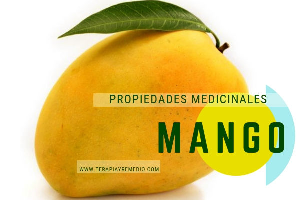 Las propiedades del mango