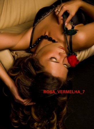 ROSA VERMELHA