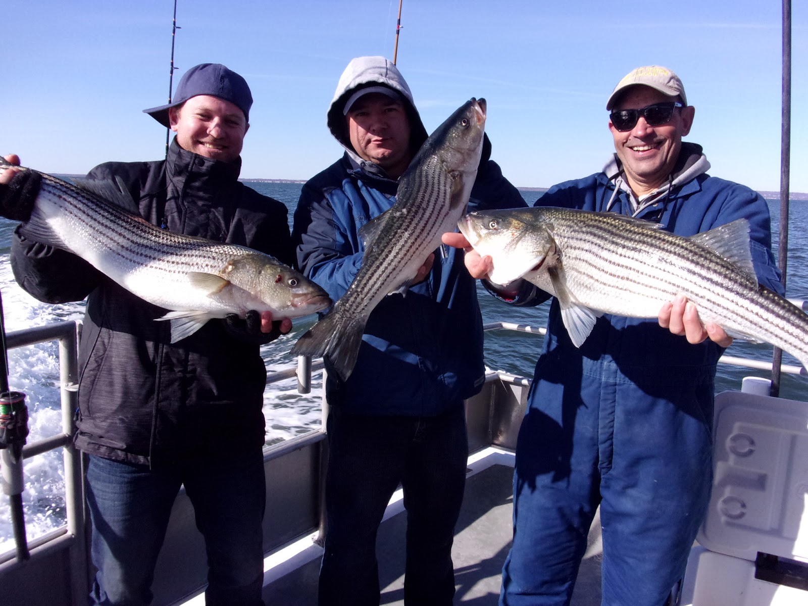 Jersey Shore Fishing Birds stayed up in Raritan Bay