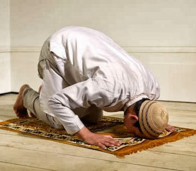 Keutamaan Sujud Tilawah yang Sering Dilewatkan Saat Membaca Al Qur`an Keutamaan Sujud Tilawah yang Sering Dilewatkan Saat Membaca Al Qur`an
