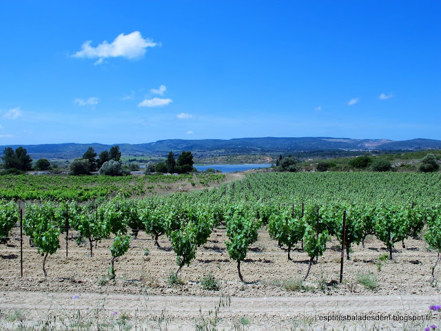 Peyriac-de-Mer / Tour de l'étang du Doul