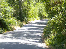 The Road To See Canyon Apples