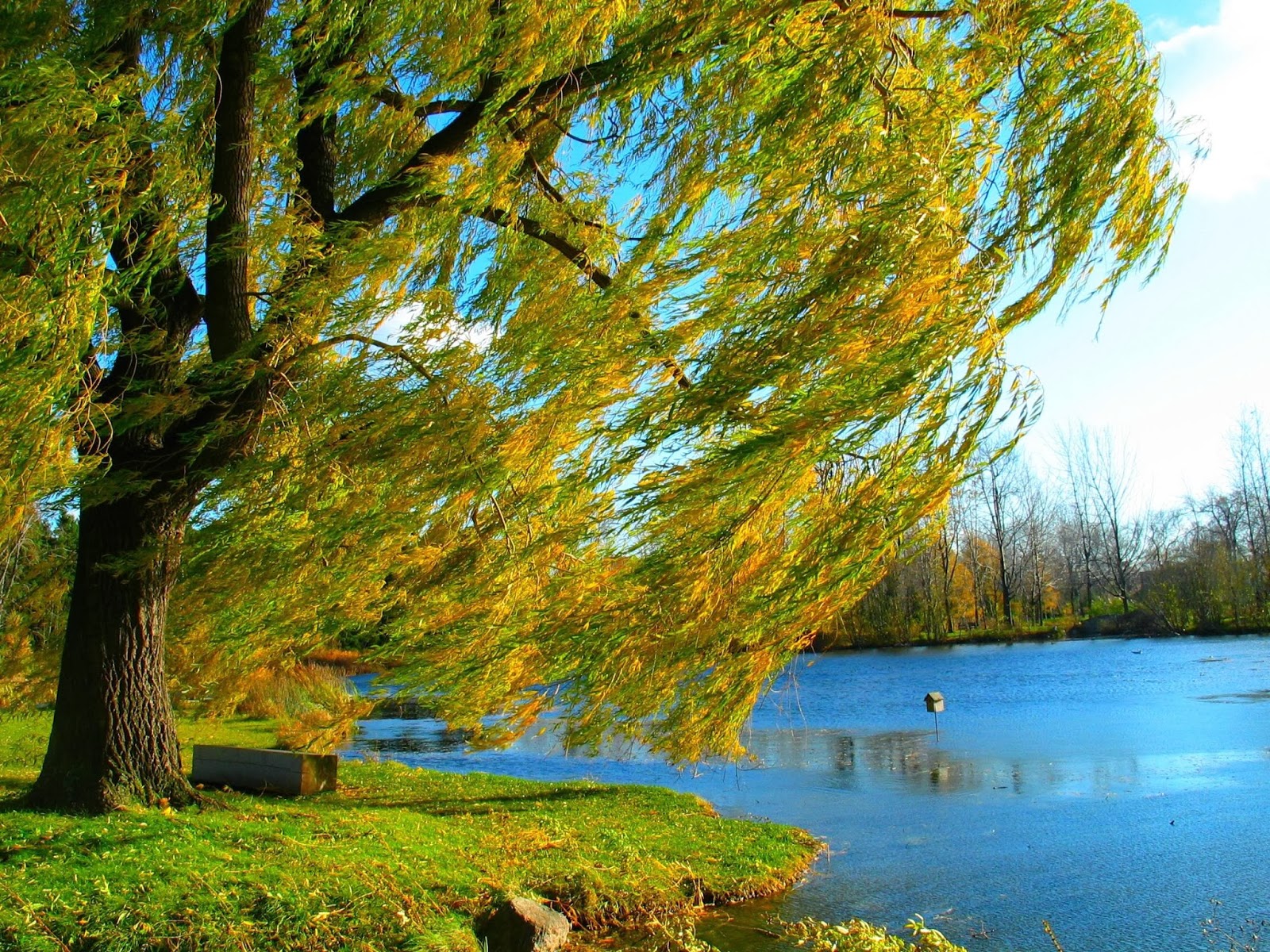 .: Meditación: Salmo 1, 1-4. 6