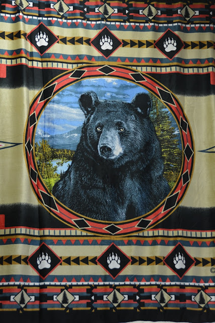 Ketchikan Alaska bear