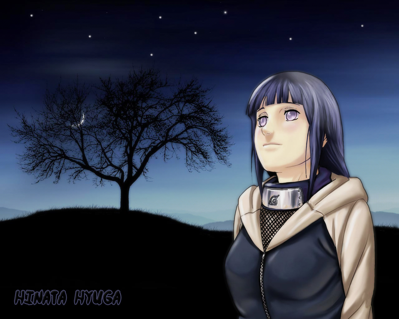 Naruto And Bleach Anime Wallpapers: Hinata Hyuga