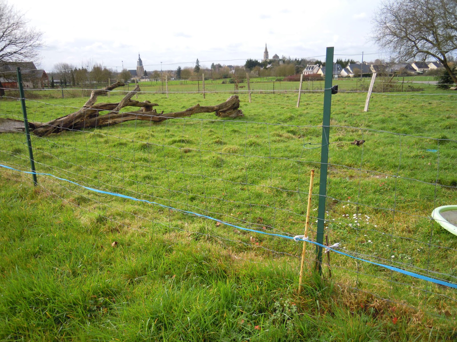 Bien vivre au quotidien avec son chien... COMMENT EMPECHER VOTRE CHIEN DE S