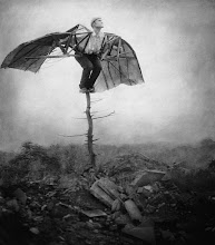 ROBERT ET SHANA  PARKEHARRISON