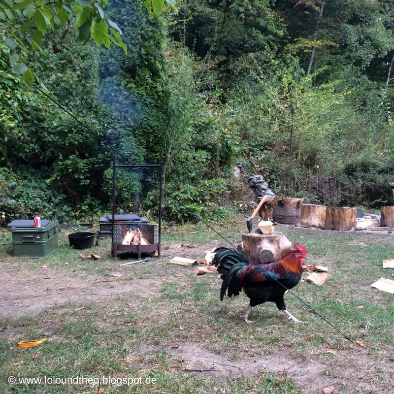Lolo und Theo: Herbstcamping in Belgien – Natur pur!