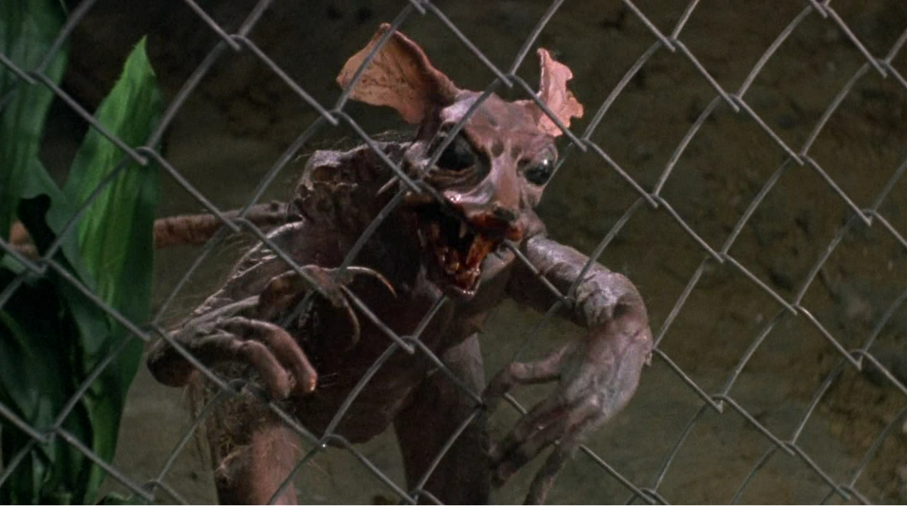 braindead02.png braindead02.png