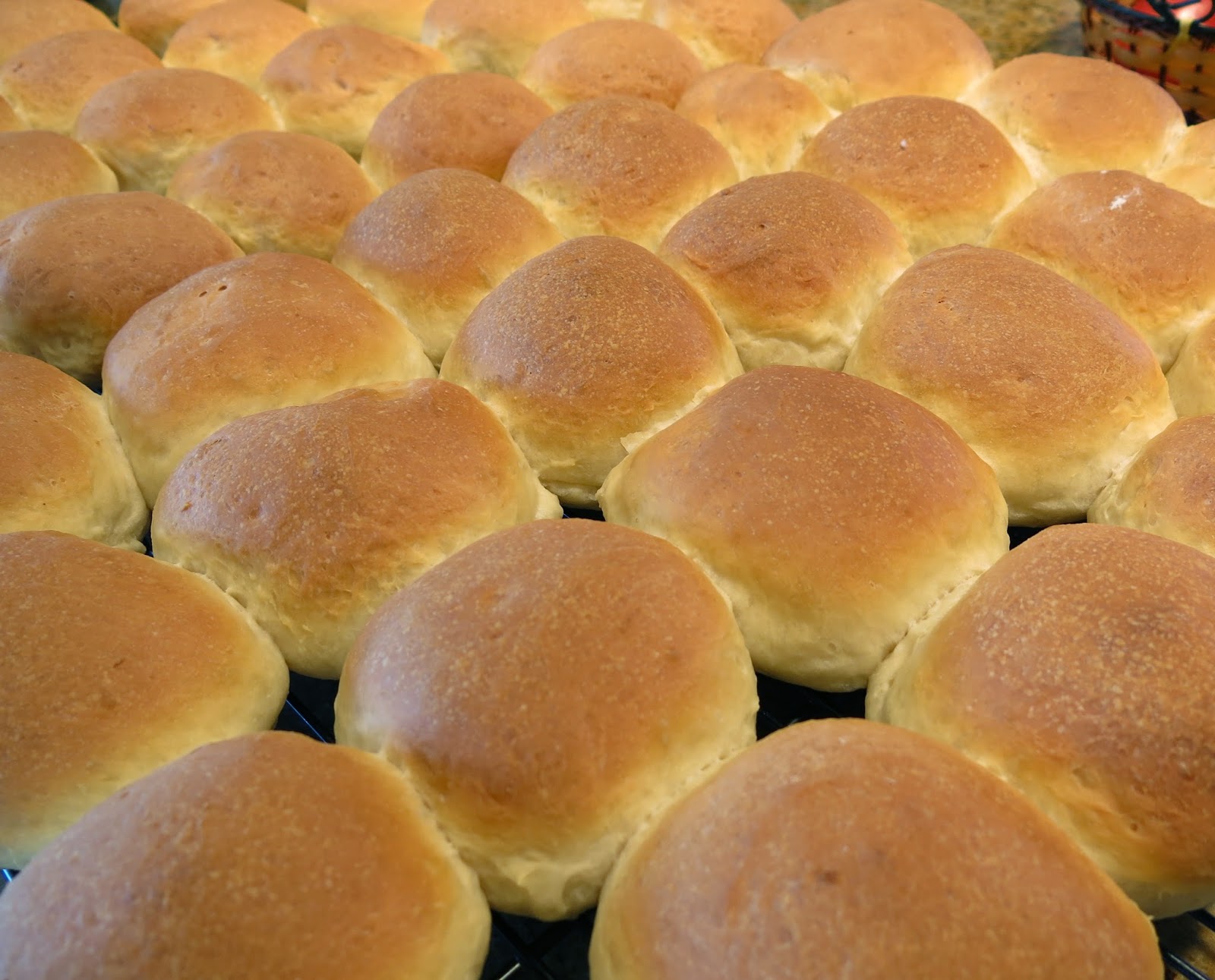 Mennonite Girls Can Cook: Renate&amp;#39;s Zwieback