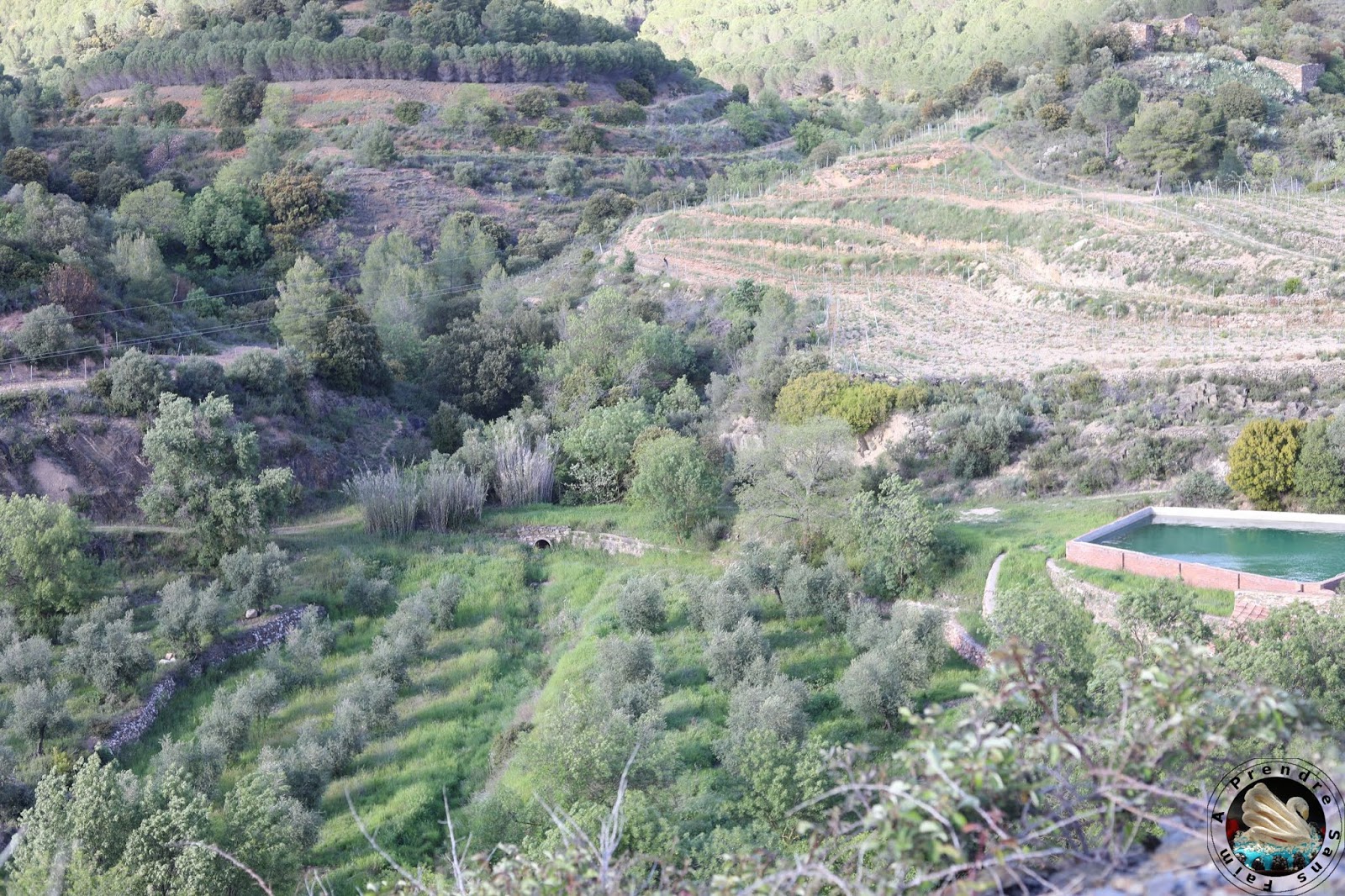 Le vignoble d'Alvaro Palacios : admirer les paysages à l'origine de son vin L'Ermita