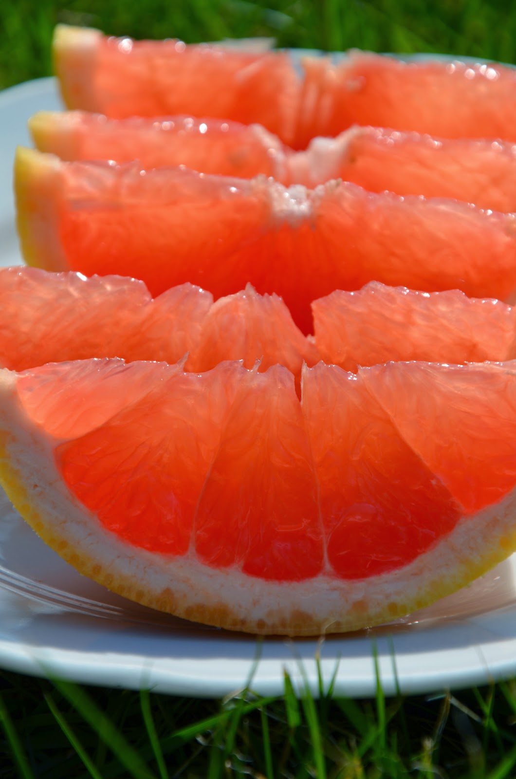 Willow Bee Inspired Color Palette No. 17 Pink Grapefruit