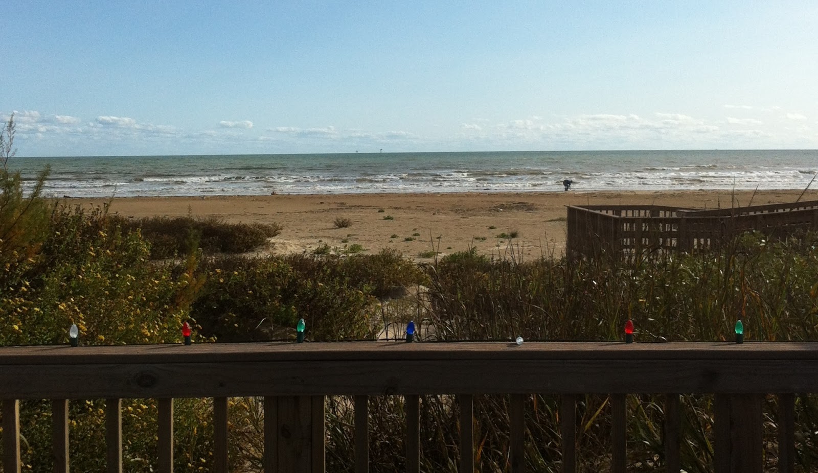 QUINTANA BEACH COUNTY PARK QUINTANA, TEXAS Lily loves Lola
