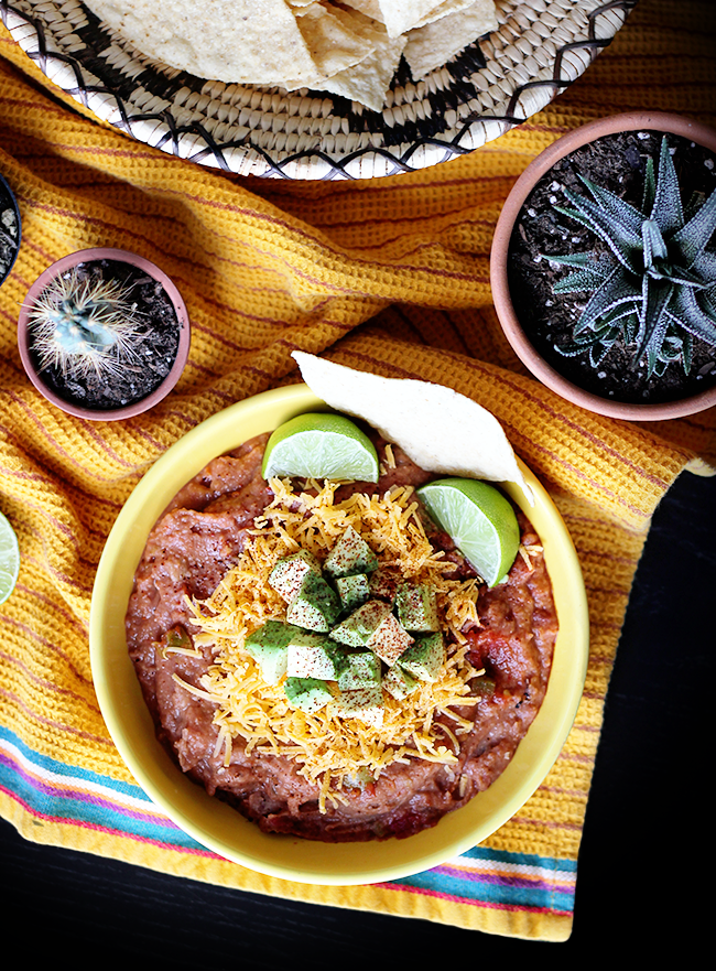 BEAN AND SALSA DIP