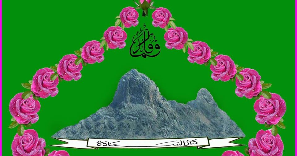 Logo Darussaadah Aceh