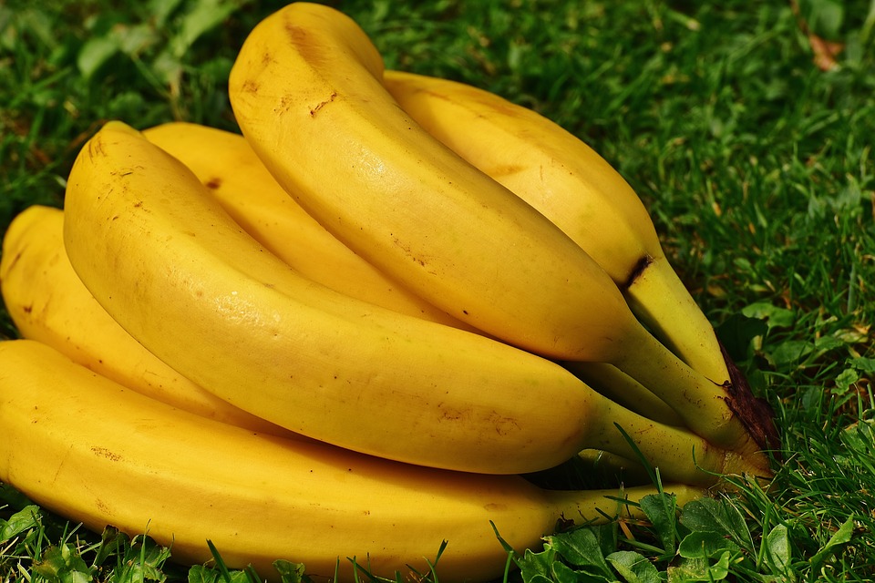 Which color of banana is the best? - The Buzz Land