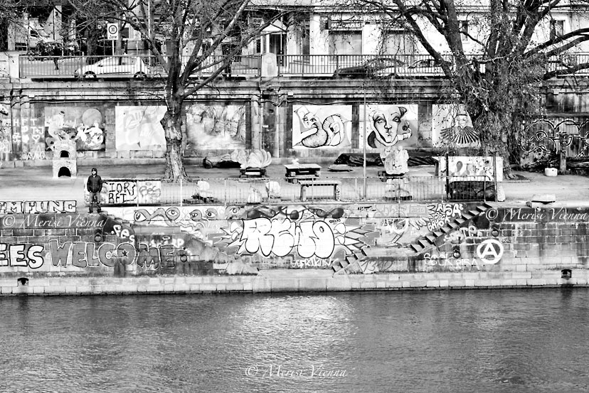 The Sl Registry 2020