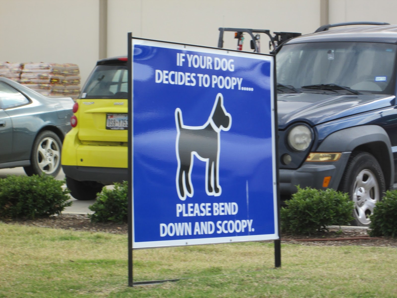 Saturday November 4 at Bucee's, Terrell TX and Canton TX First Monday