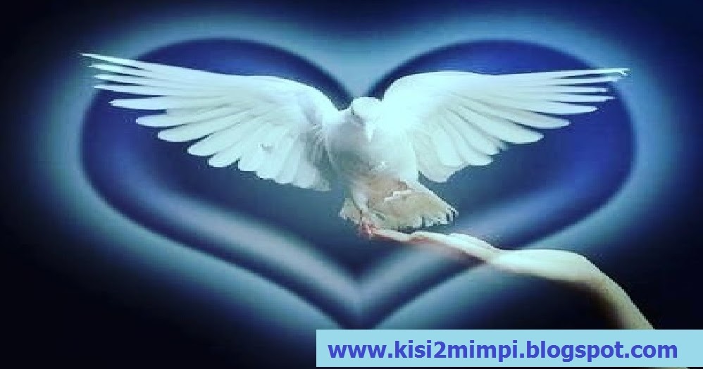Tafsir Mimpi Merpati (Menurut Erek-Erek 4D-3D-2D)