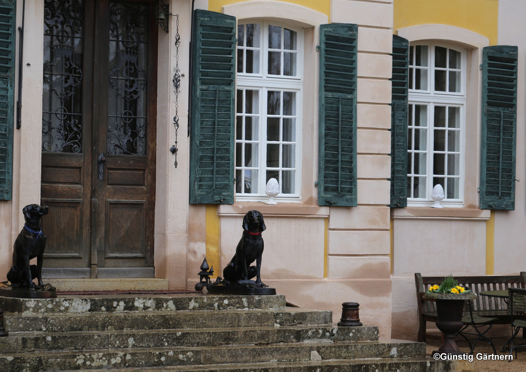 Landschaftspark Und Rhododendren Im Schlosspark Dennenlohe Achims Garten
