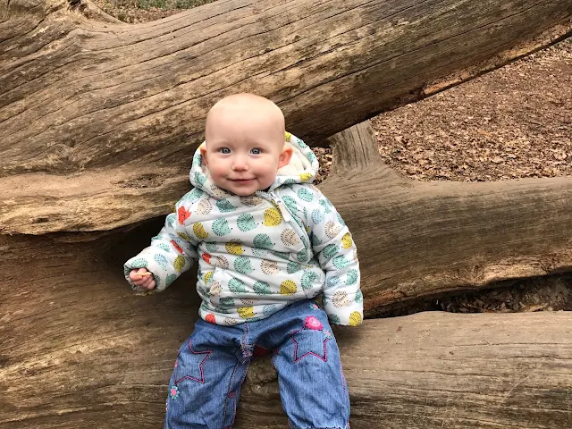 A 13 month old baby girl sitting on a fallen tree in a hedgehog marks and spencers coat and jeans