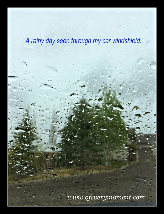 rain, windshield