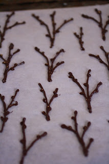 Chocolate branches piped onto parchment paper