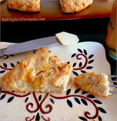 Tropical Scones: start your day with tropical fruits and nuts baked into a flaky scone. | Recipe developed by www.BakingInATornado.com | #recipe #breakfast #brunch