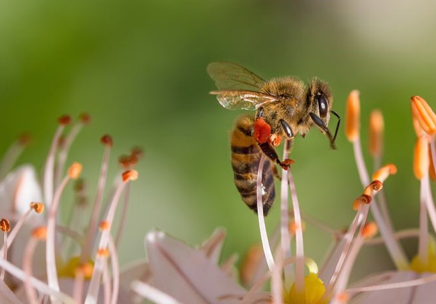Utopische Traume Umschau Nach Einer Besseren Welt April 2019