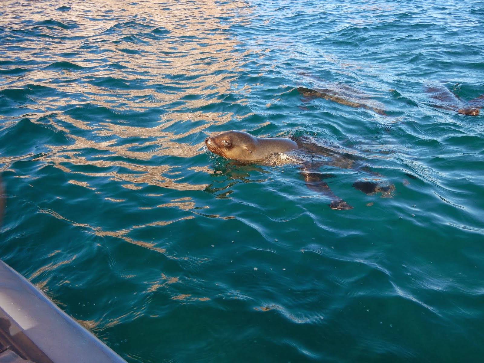 Adam @ Sea: December 2013