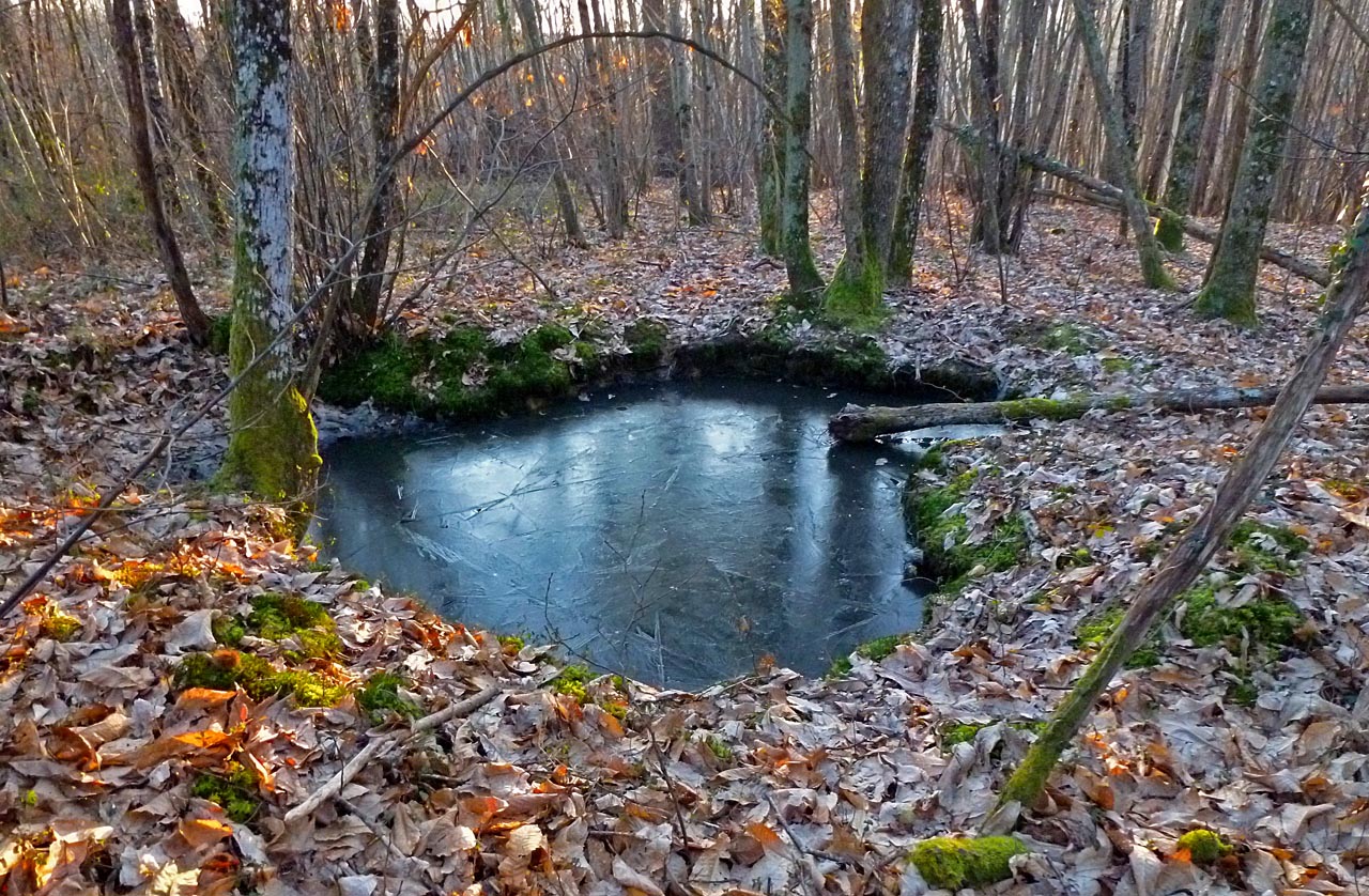 Living the life in SaintAignan Woods, water holes, and vines