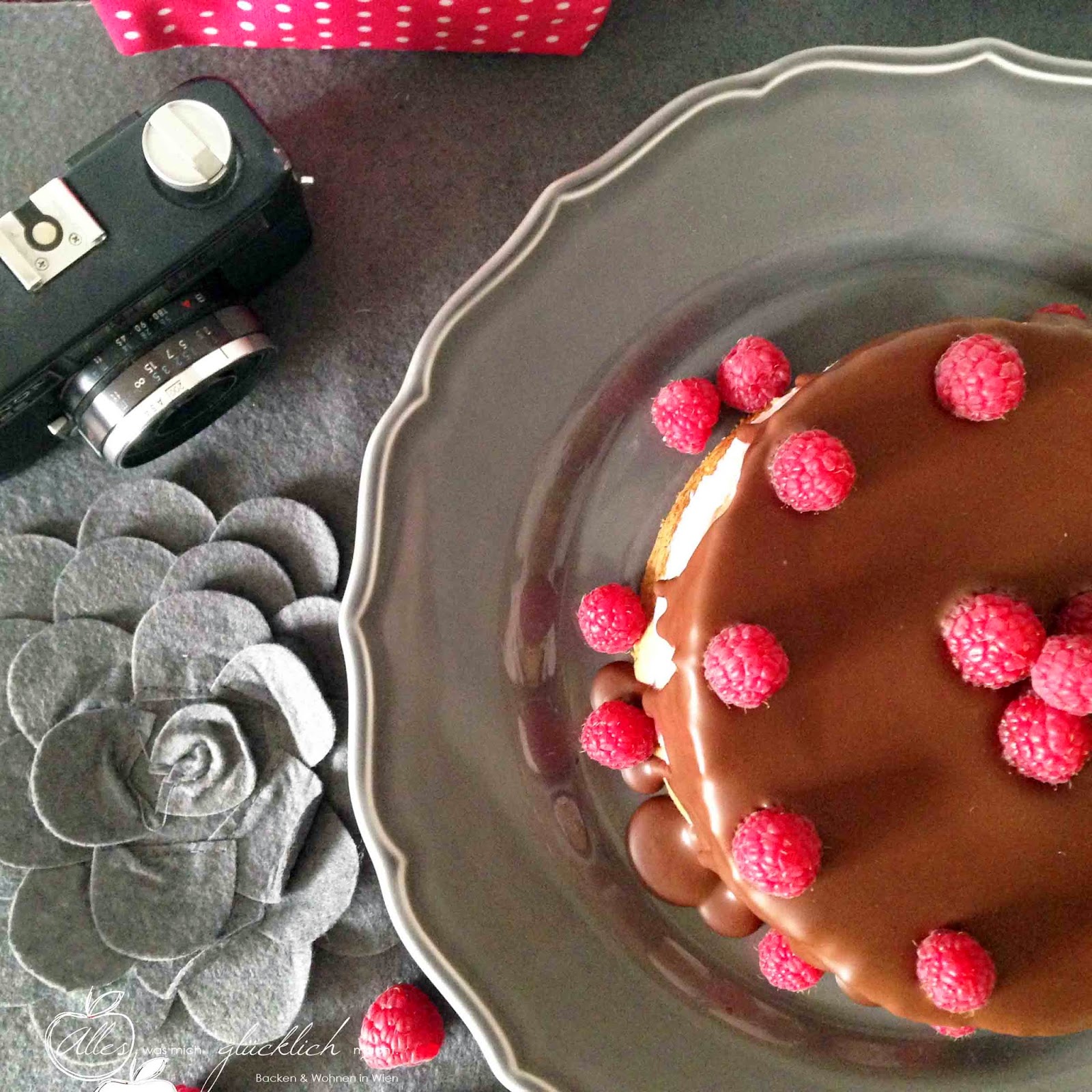 Die 25 Minuten Torte: Mohnbiskuit-Torte mit Ribiselfüllung und Schokoladenglasur