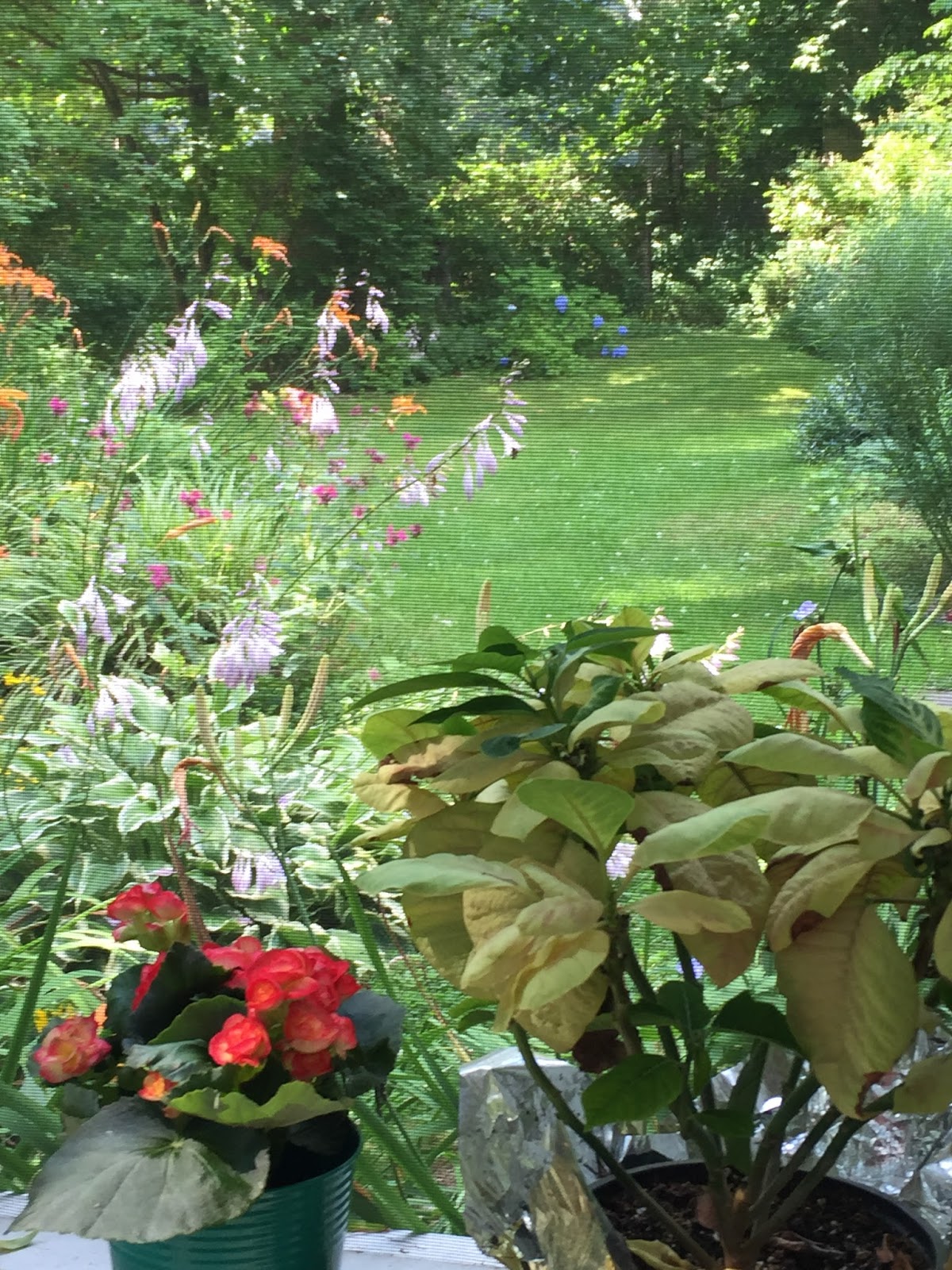 Green Garden Guru Layering color in your flower garden