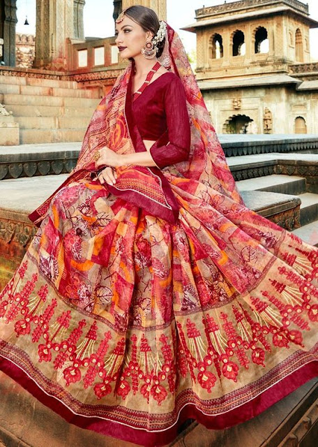 Geleneksel Hint Kiyafeti Sari